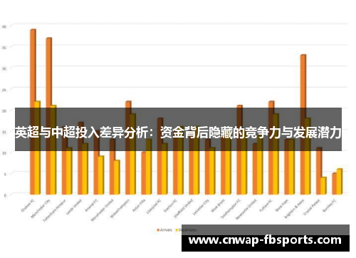 英超与中超投入差异分析：资金背后隐藏的竞争力与发展潜力