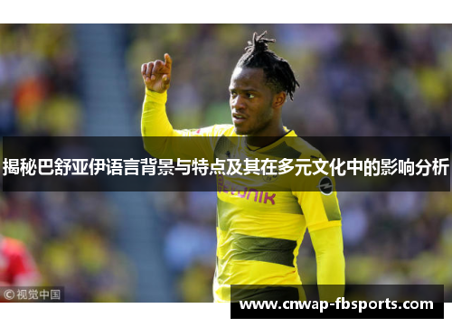 揭秘巴舒亚伊语言背景与特点及其在多元文化中的影响分析