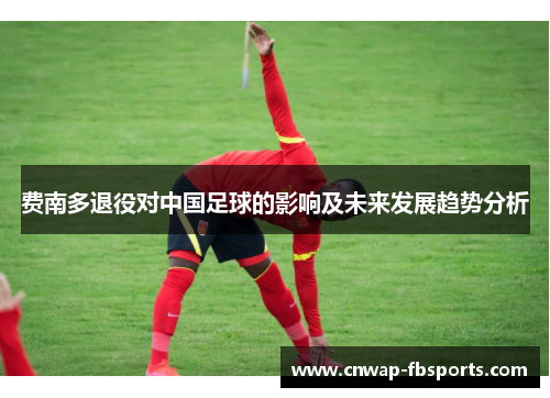 费南多退役对中国足球的影响及未来发展趋势分析