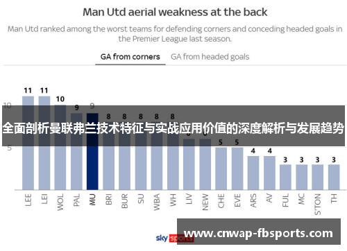 全面剖析曼联弗兰技术特征与实战应用价值的深度解析与发展趋势