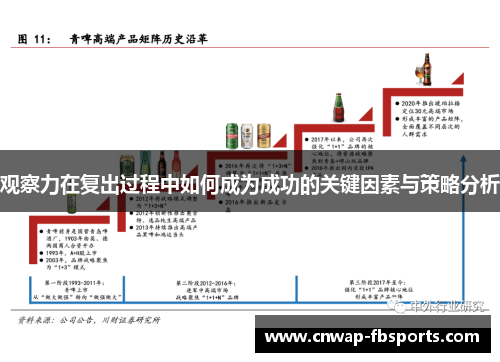 观察力在复出过程中如何成为成功的关键因素与策略分析 观察力在复出过程中如何成为成功的关键因素与策略分析