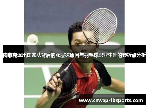陶菲克退出国家队背后的深层次原因与羽毛球职业生涯的转折点分析