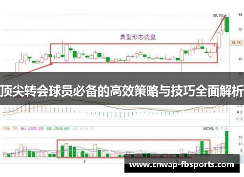 顶尖转会球员必备的高效策略与技巧全面解析 顶尖转会球员必备的高效策略与技巧全面解析