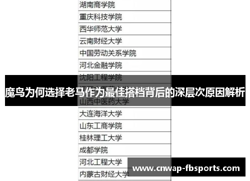 魔鸟为何选择老马作为最佳搭档背后的深层次原因解析