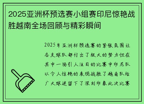 2025亚洲杯预选赛小组赛印尼惊艳战胜越南全场回顾与精彩瞬间